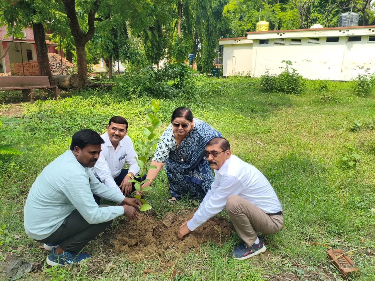 Campus Infrastructure – Plantation Drive