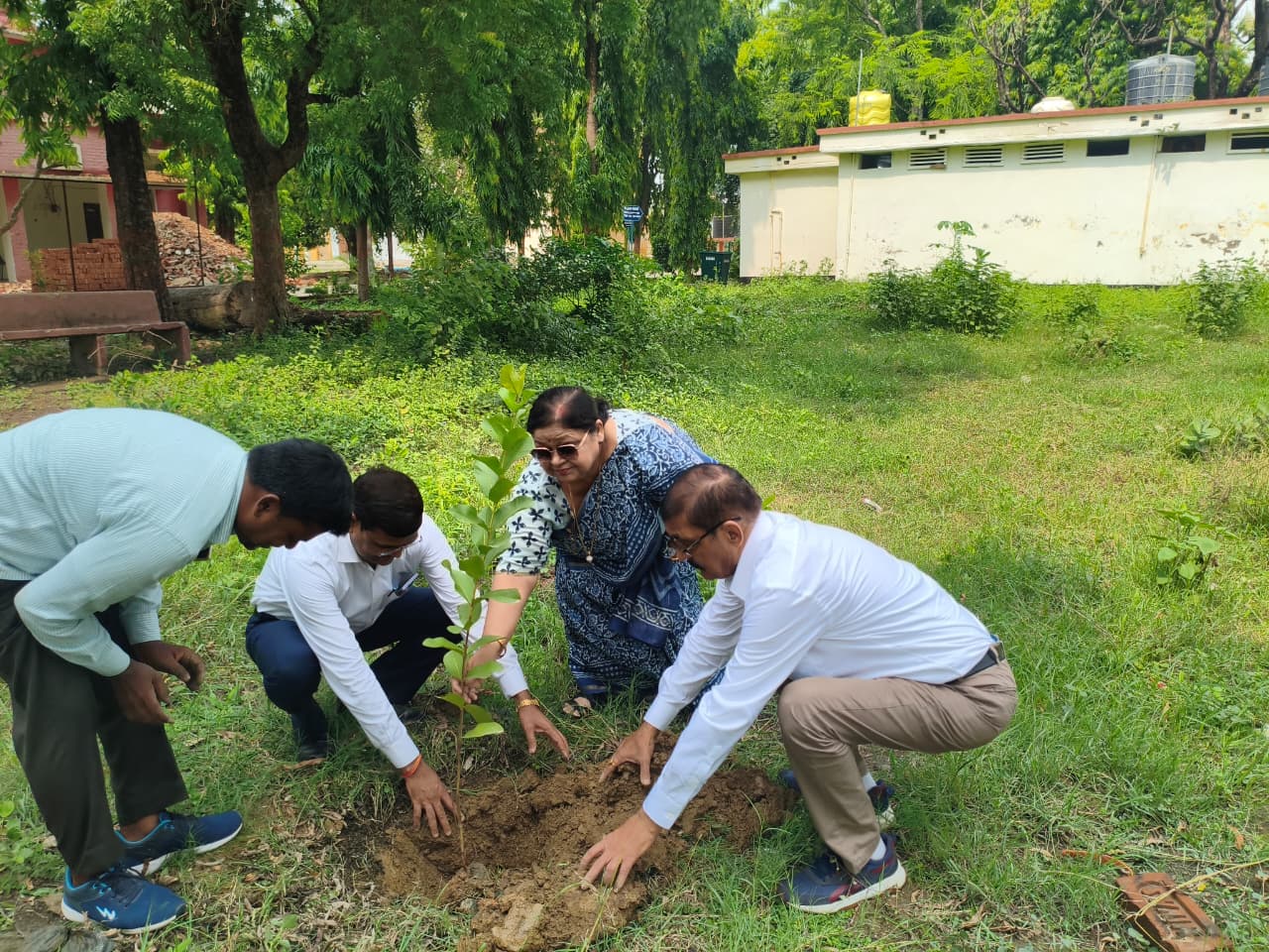 Campus Infrastructure – Plantation Drive